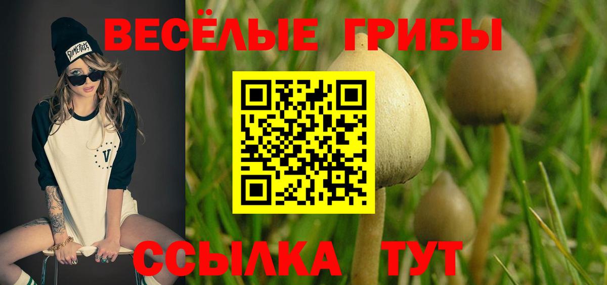 Псилоцибиновые грибы Psilocybe Верхняя Салда
