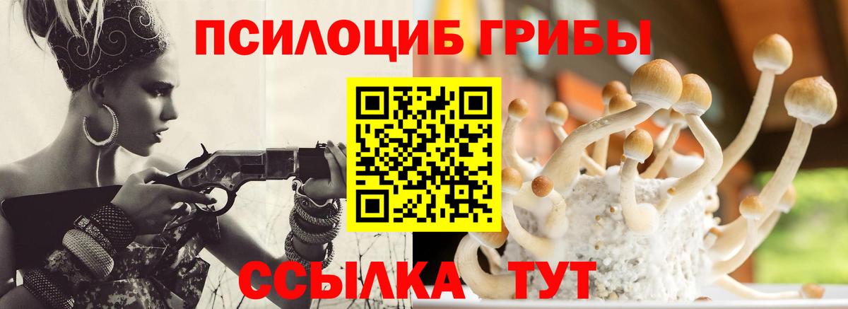 Верхняя Салда  Галлюциногенные грибы мухоморы  Вход с VPN 